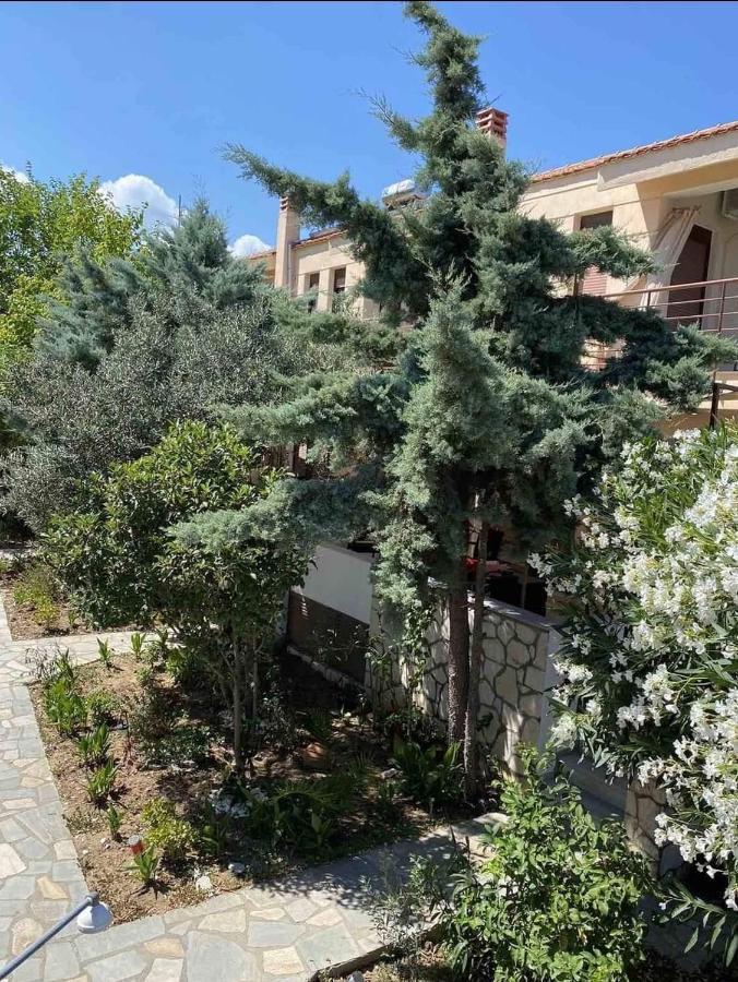 Papadopoulos Houses Nikiti  Exterior photo
